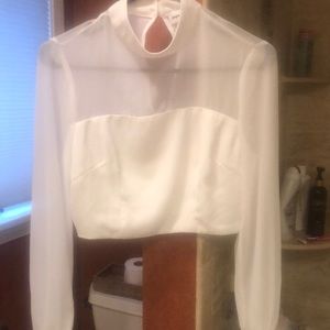 Mesh long sleeve crop top